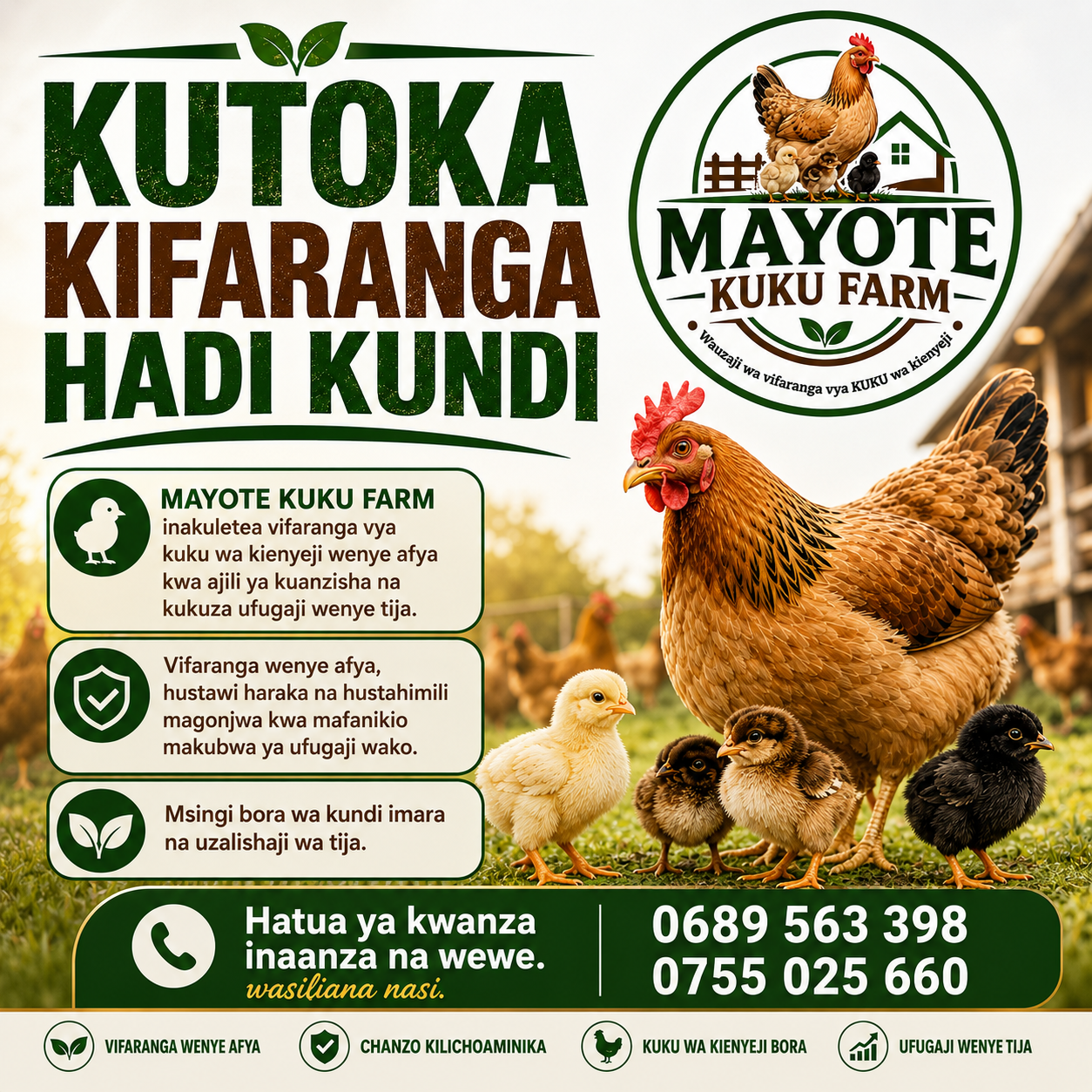 Vifaranga vya Kuku wa Kienyeji
