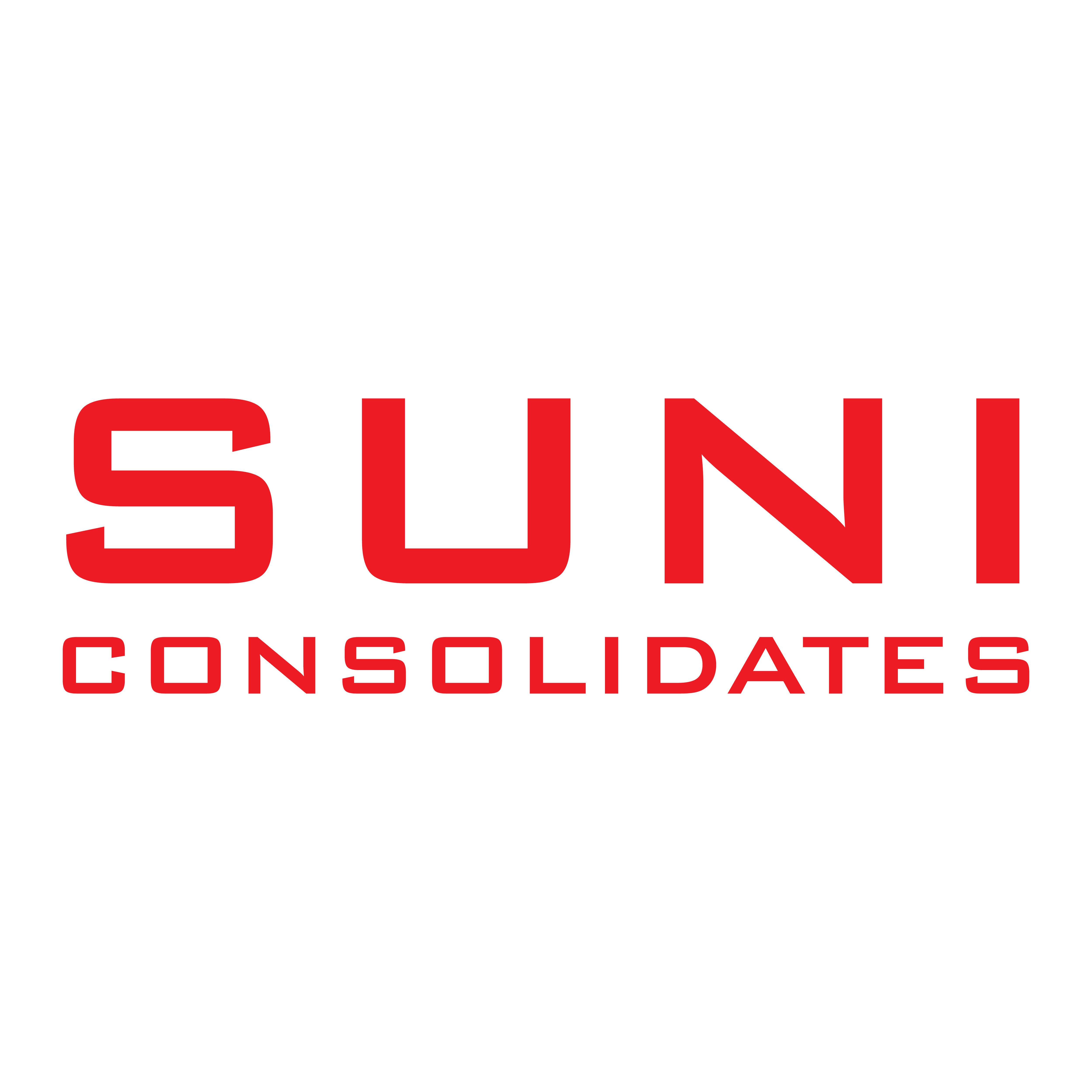 SUNI CONSOLIDATES LIMITED logo
